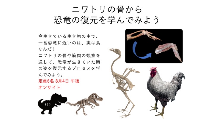 恐竜の復元