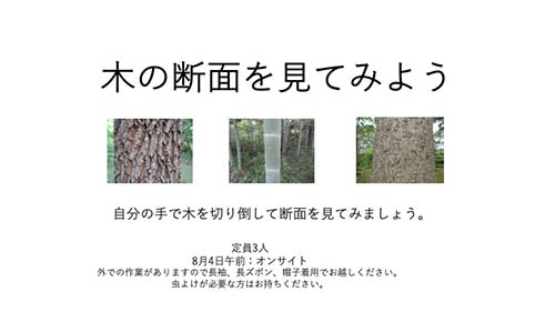木の断面を見てみよう