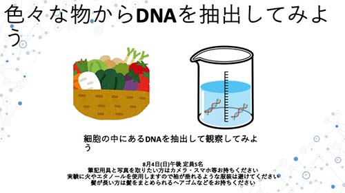 色々な物からDNAを抽出してみよう