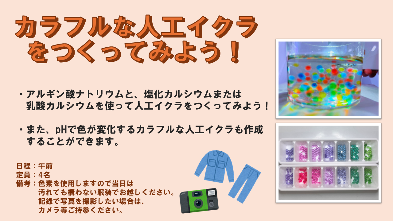カラフルな人工イクラを作ってみよう