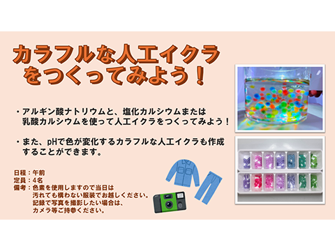 カラフルな人工イクラを作ってみよう