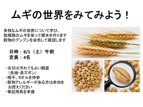 ムギの世界をみてみよう！
