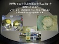 エンジンの中をのぞいて見よう