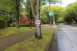 筑波大学　夏休み自由研究お助け隊2019　当日の風景