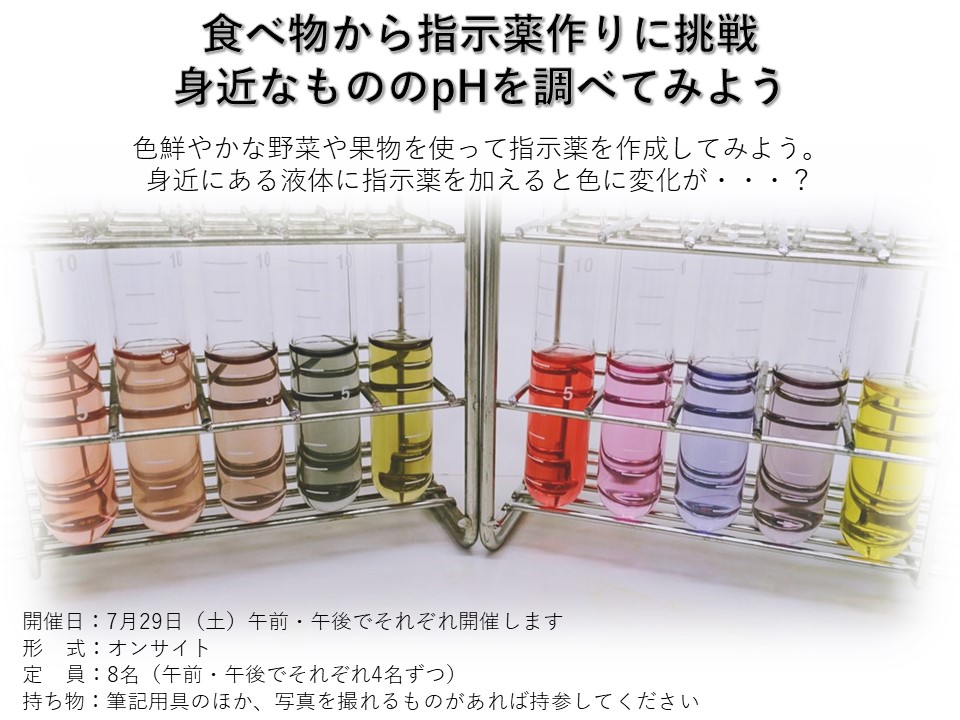 食べ物から指示薬作りに挑戦 身近なもののpHを調べてみよう